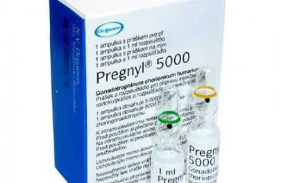 Pregnyl Organon 5000ед (Греция)