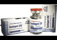 Sustoged 250 Golden Dragon 