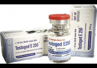 Testoged E250 Golden Dragon 